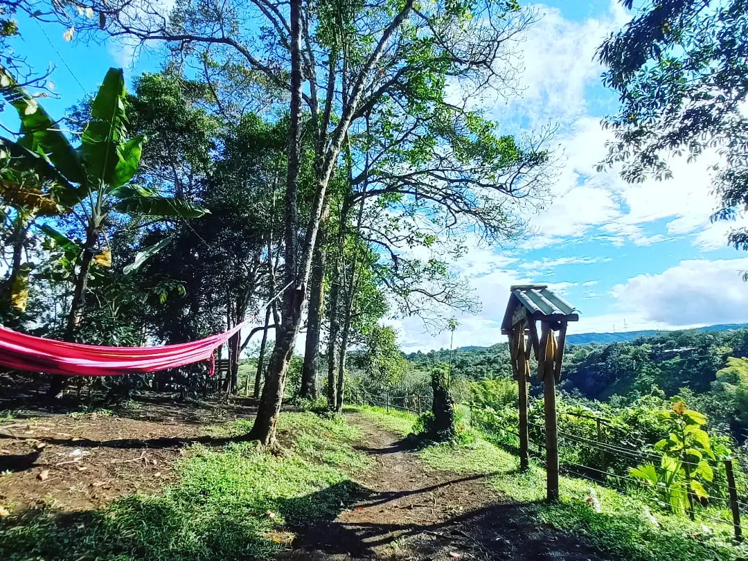 Bicitour "Experiencia Panelera y Laguna Mistica" - Image 3